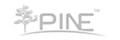 PINE 脊柱内固定系统